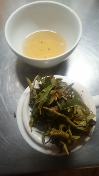 STEINTHAL Darjeeling f.fl. FTGFOP1 DJ1 2022 (Rarität)